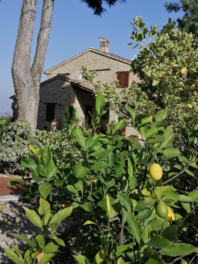 Casale San Martino Agriturismo Bio Sant'Angelo in Pontano Exterior photo