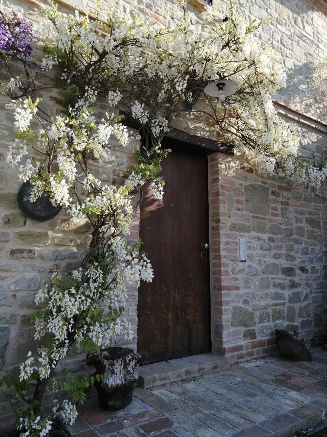 Casale San Martino Agriturismo Bio Sant'Angelo in Pontano Exterior photo