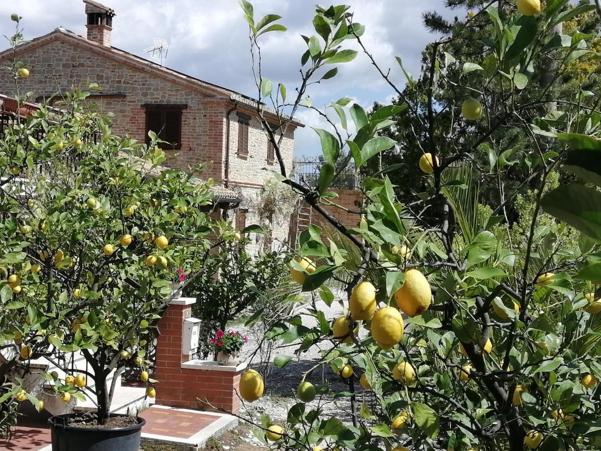 Casale San Martino Agriturismo Bio Sant'Angelo in Pontano Exterior photo
