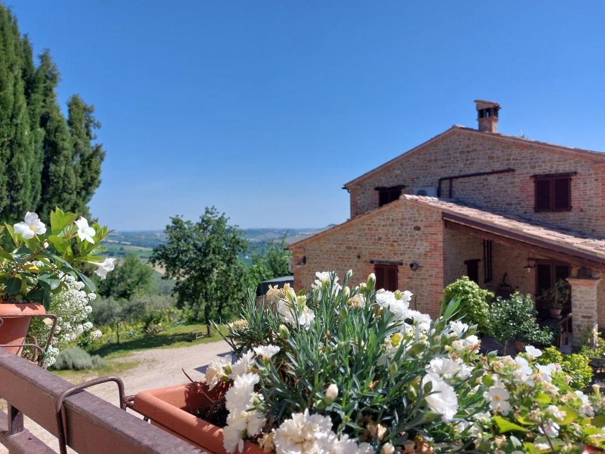 Casale San Martino Agriturismo Bio Sant'Angelo in Pontano Exterior photo