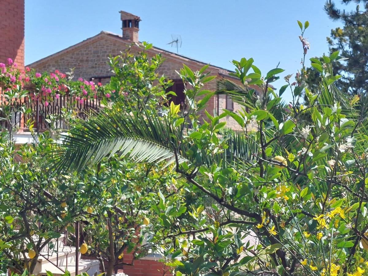 Casale San Martino Agriturismo Bio Sant'Angelo in Pontano Exterior photo