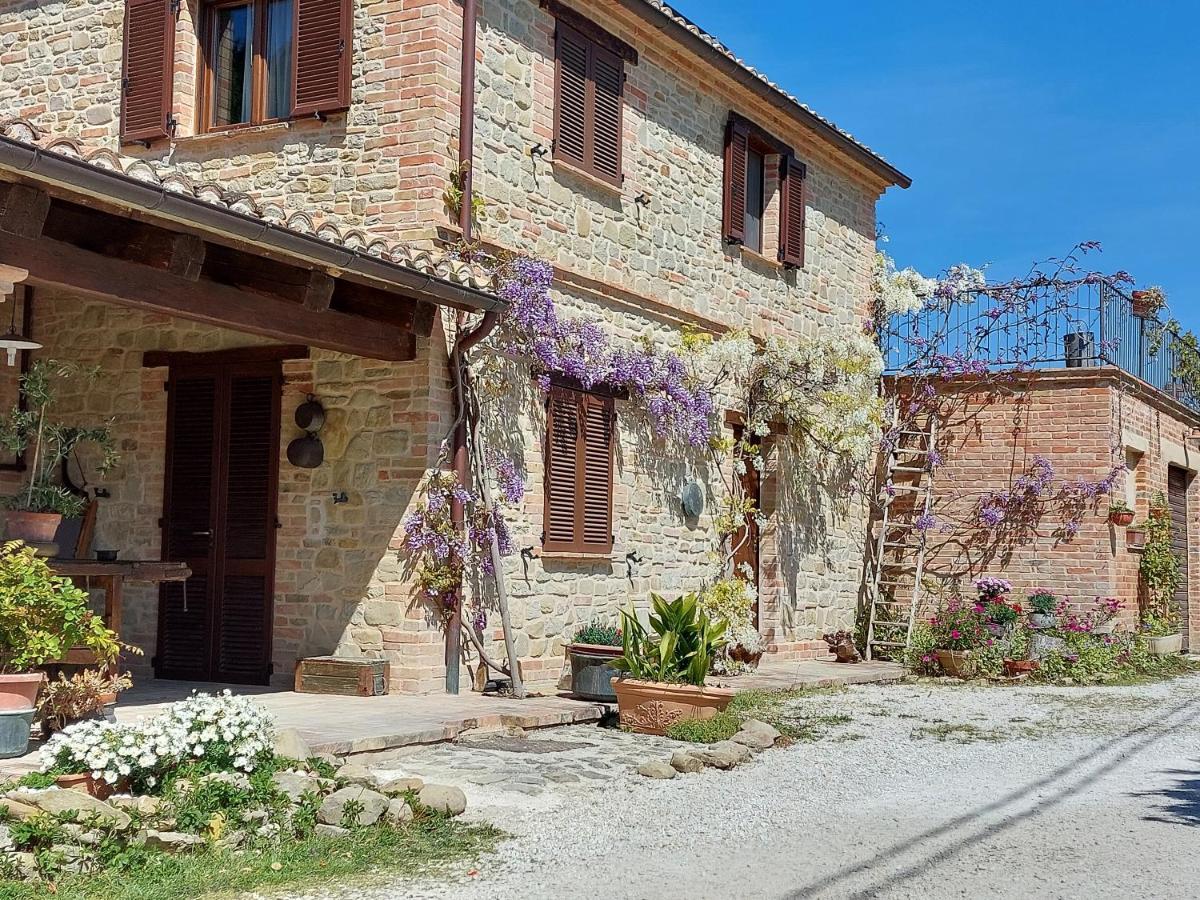 Casale San Martino Agriturismo Bio Sant'Angelo in Pontano Exterior photo