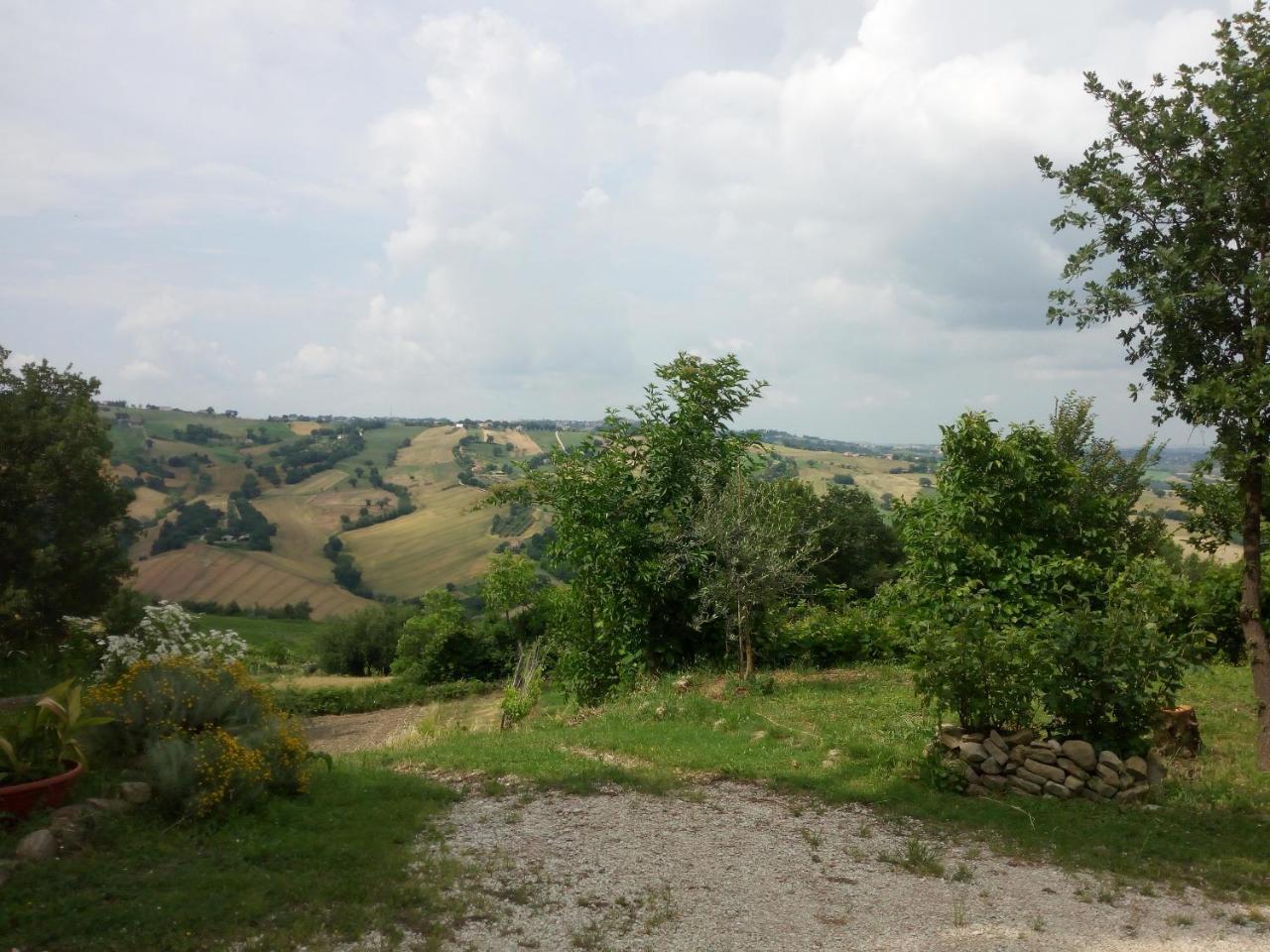 Casale San Martino Agriturismo Bio Sant'Angelo in Pontano Exterior photo